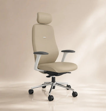Starmy Light Highback Consumer KANO   