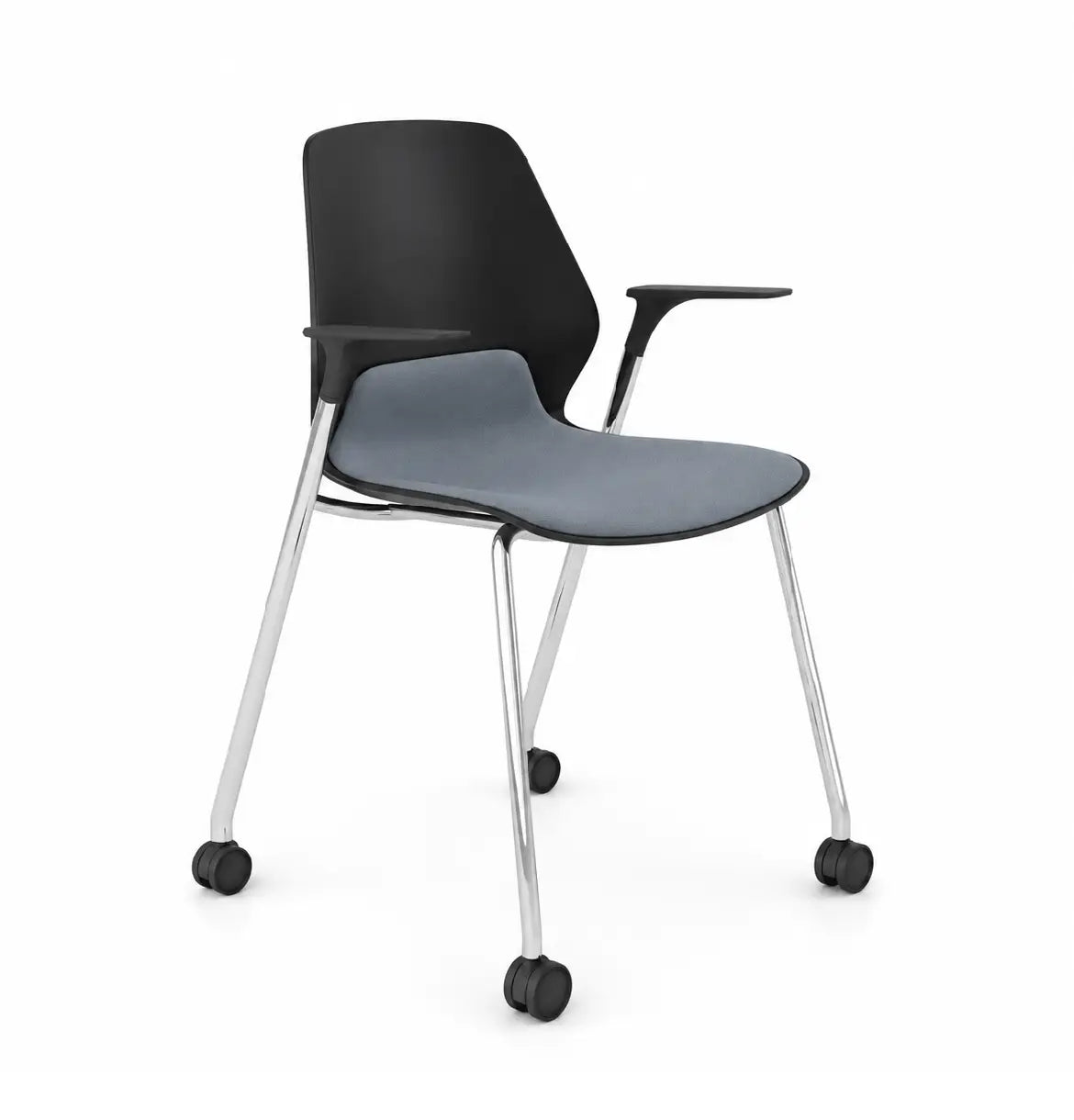 Staryo in 4-Legs with Castors Consumer KANO Black 8-10 Weeks