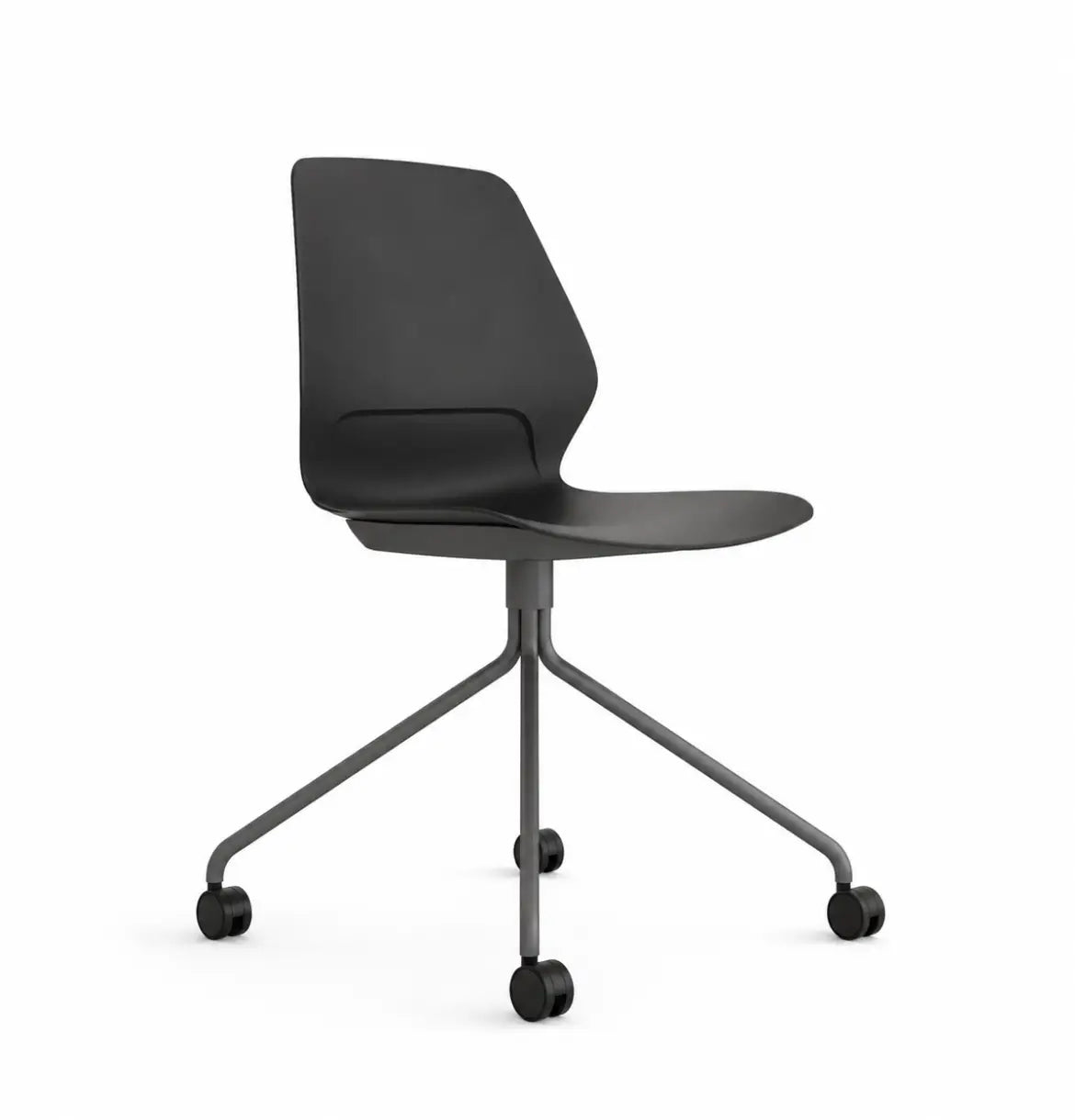 Staryo in 4-Spoke Consumer KANO Black 8-10 Weeks