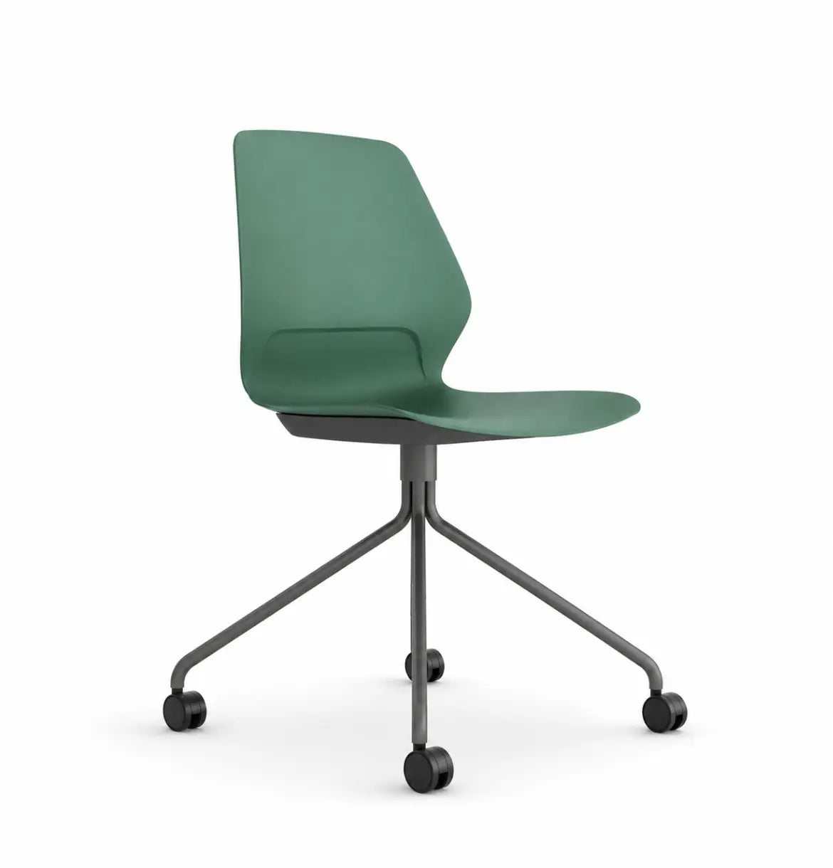Staryo in 4-Spoke Consumer KANO Green 8-10 Weeks