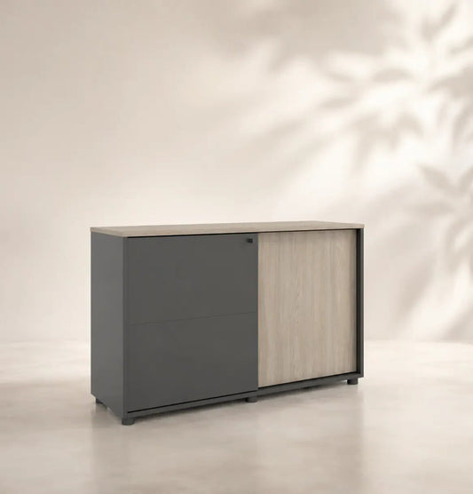 Universal 2-Level Sliding Door Cabinet (Meteor Grey Body) Consumer KANO