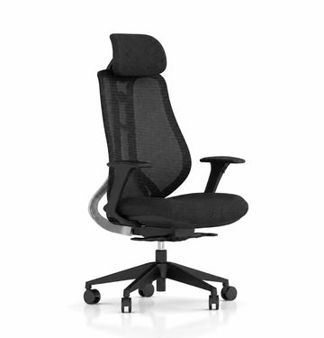 X2 Highback Consumer KANO