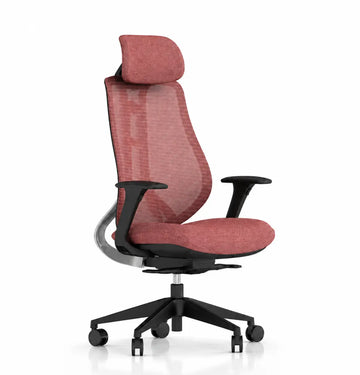 X2 Highback Consumer KANO